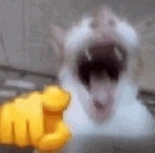 Le Chat Qui Rigole